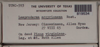 Image Associated With the Occurence